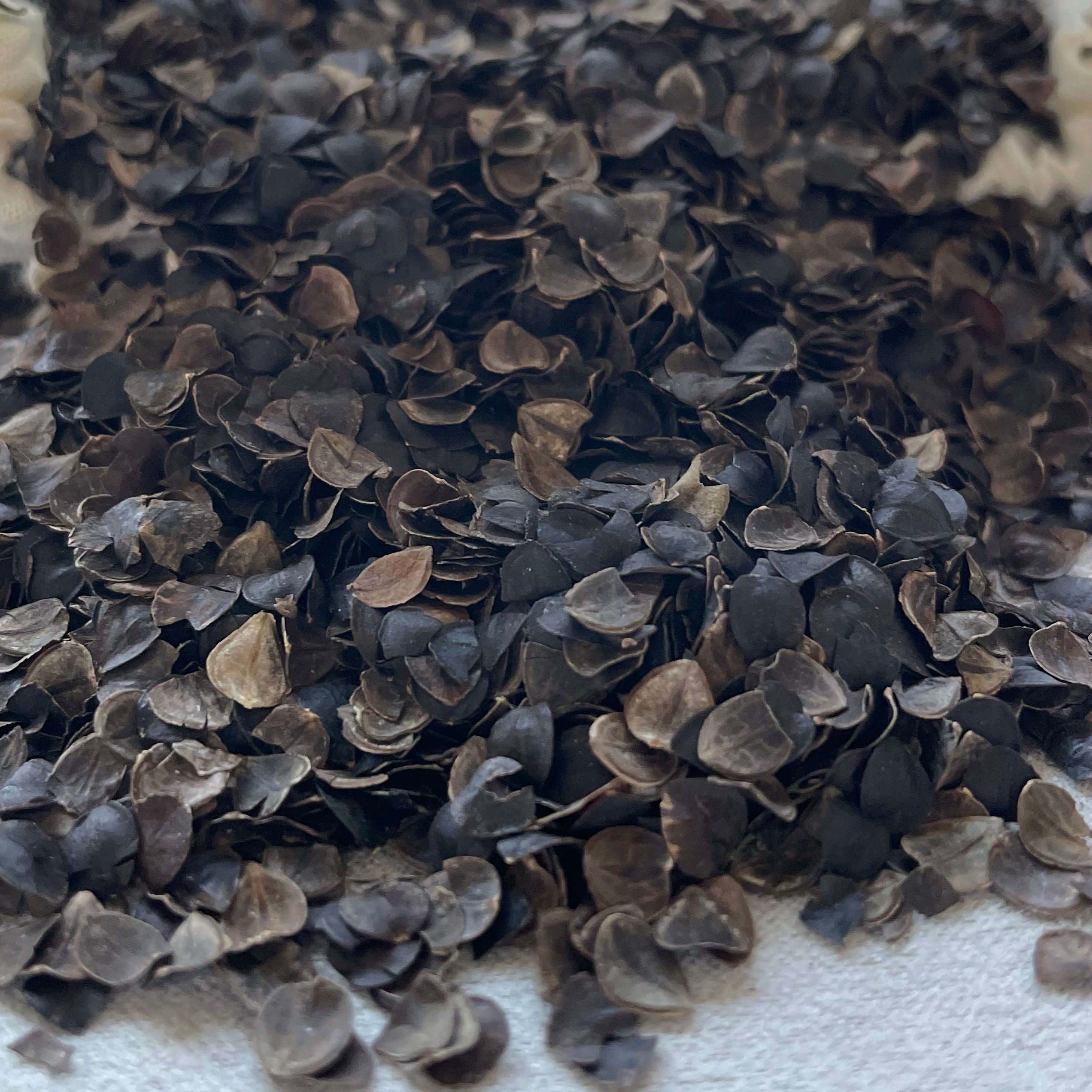 BuckwheatShells_1860300f-db42-4d58-93dd-c8f0d2b87b1a