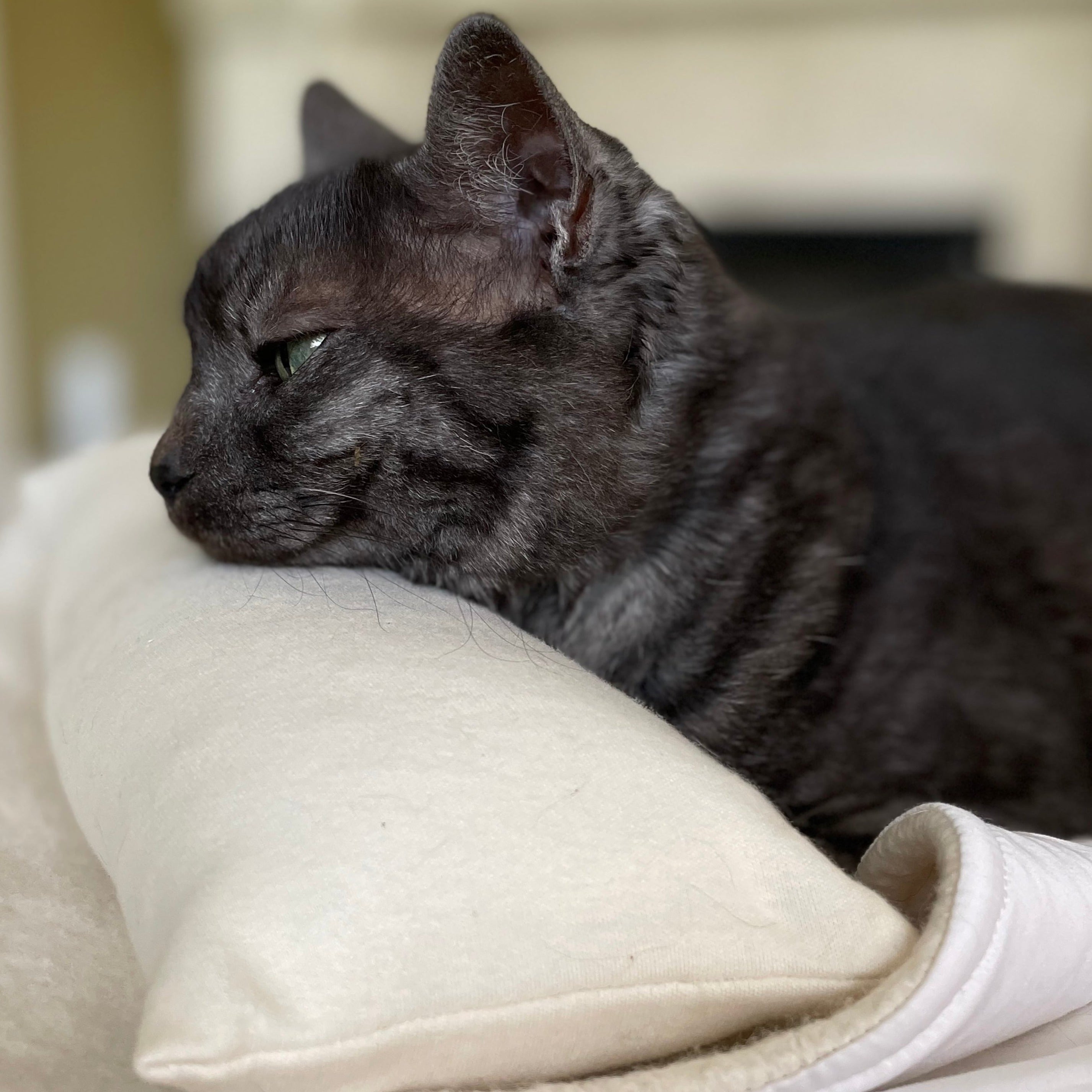 OrthopedicBolsterPillow